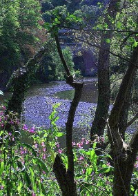 Rund um die Kama Idar-Oberstein - Foto: Rüdiger Block