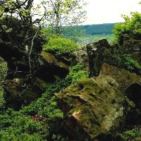 Ringskopf bei Allenbach - Foto: Rüdiger Block Ringskopf bei Allenbach - Foto: Rüdiger Block