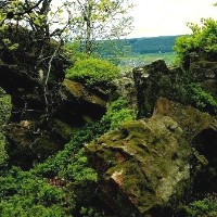 Ringskopf bei Allenbach - Foto: Rüdiger Block