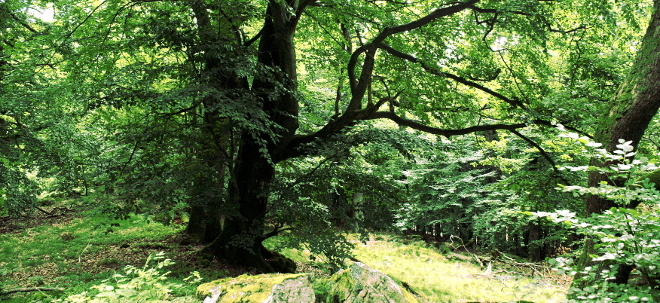 Foto: Rüdiger Block