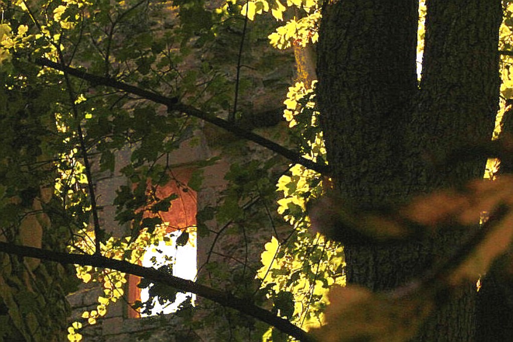 Foto: Rüdiger Block Foto: Rüdiger Block